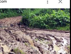 Minta Perbaikan Jalan Dusun Batu Menang,Marau