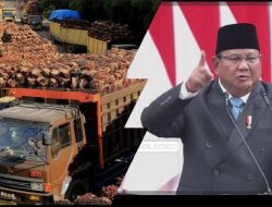 Harga TBS Anjlok,Akibat Ekspor Satu Pintu