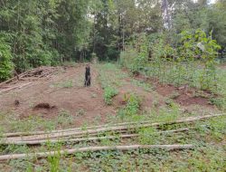 Warga Pertanyakan Program Ketahanan Pangan Dusun Batu Perak