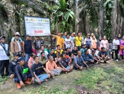 Kuat Dugaan PT.HKK-Timur Langgar Aturan Penanaman Kawasan Hutan rugikan Negara Ratusan Millyar