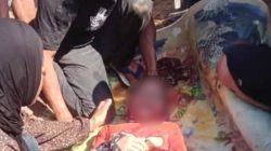 Hilang Bermain di Sungai Pesaguan, 12 Jam baru Ditemukan