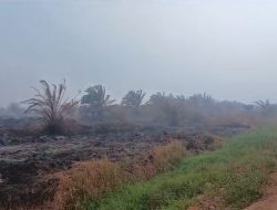 Hari Ini Kabut Asap Tebal Di Ketapang Perusahaan Sawit Dituding